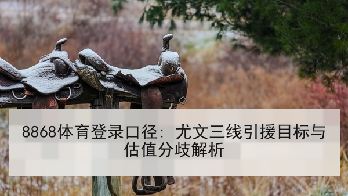 8868体育登录口径: 尤文三线引援目标与估值分歧解析