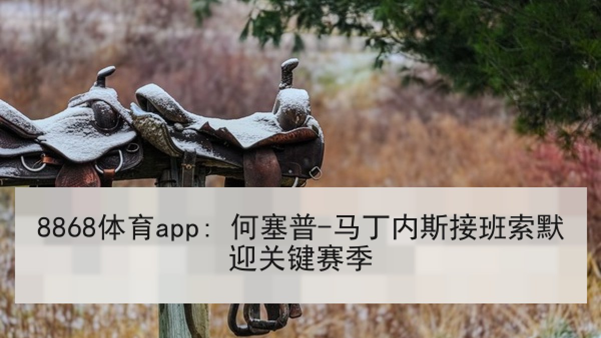 8868体育app: 何塞普-马丁内斯接班索默迎关键赛季